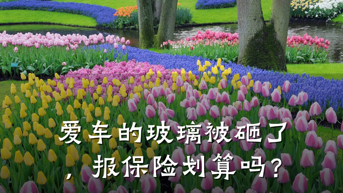 爱车的玻璃被砸了,报保险划算吗?