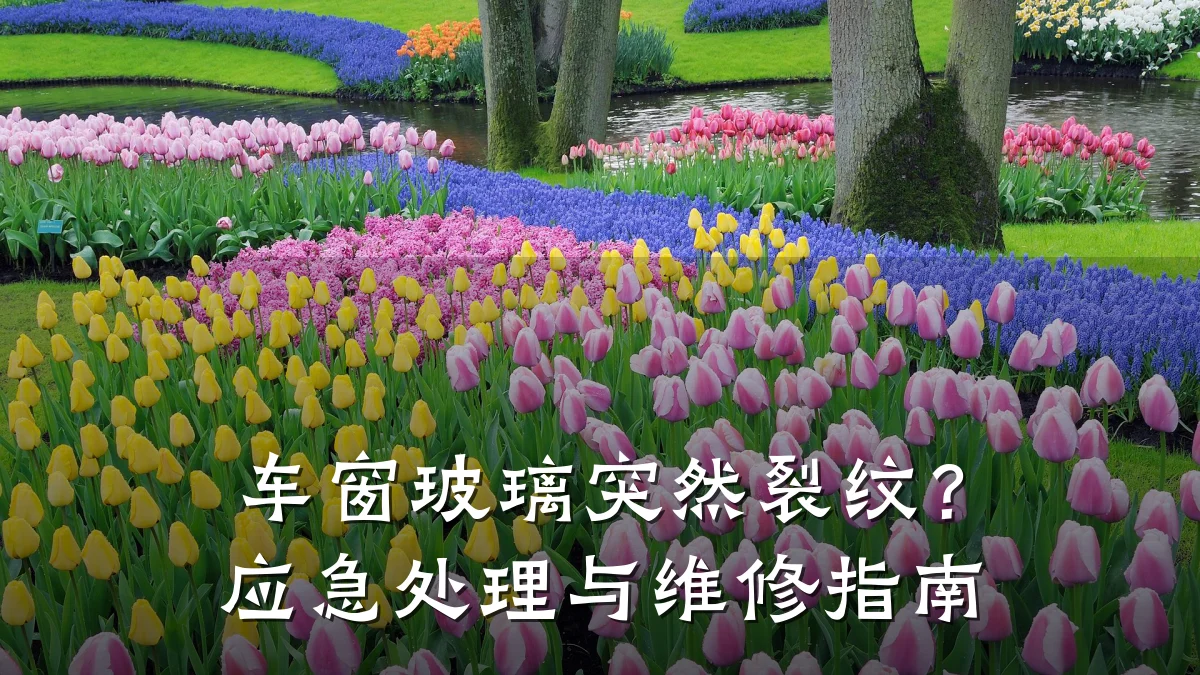 车窗玻璃突然裂纹?应急处理与维修指南