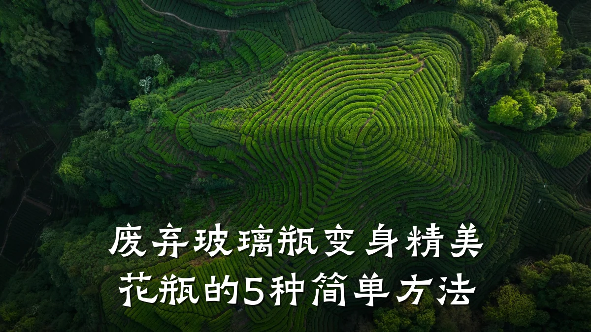废弃玻璃瓶变身精美花瓶的5种简单方法