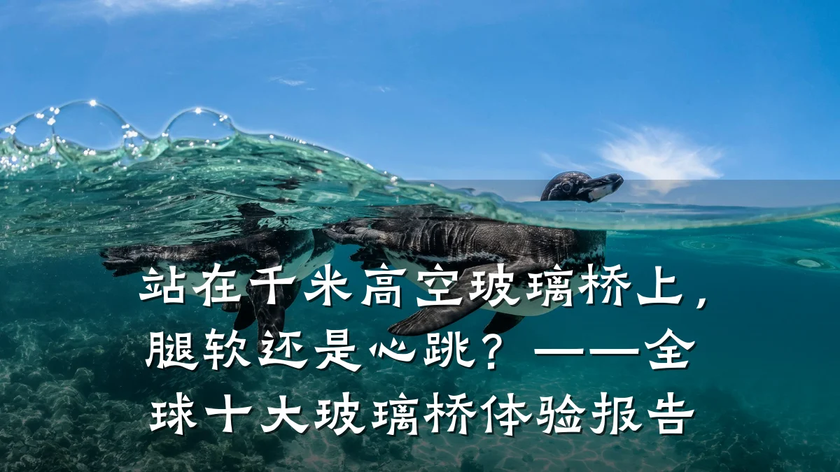站在千米高空玻璃桥上,腿软还是心跳?——全球十大玻璃桥体验报告
