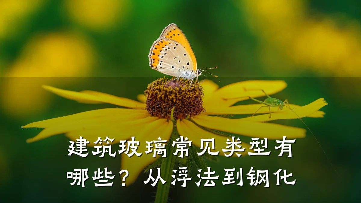 建筑玻璃常见类型有哪些？从浮法到钢化