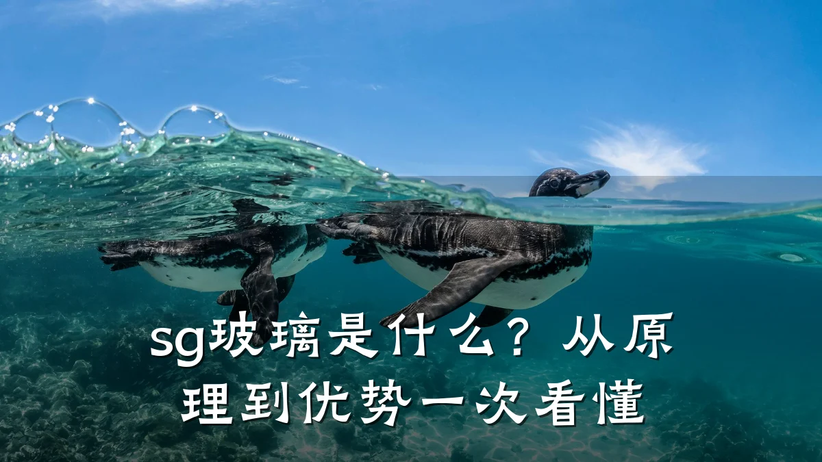 sg玻璃是什么?从原理到优势一次看懂