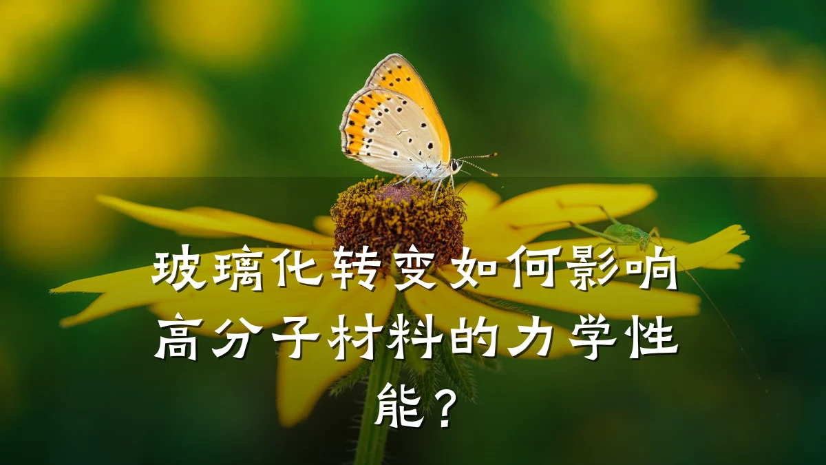 玻璃化转变如何影响高分子材料的力学性能?