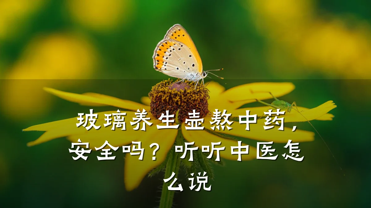 玻璃养生壶熬中药,安全吗?听听中医怎么说
