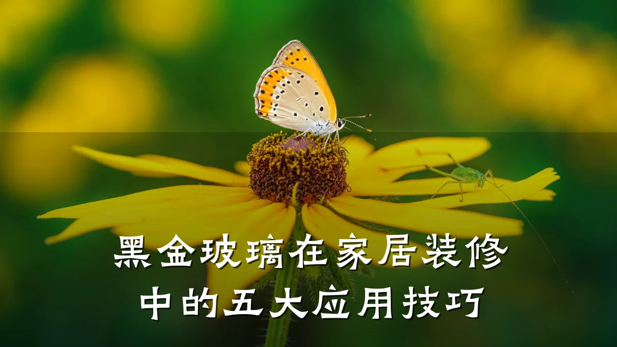 黑金玻璃在家居装修中的五大应用技巧