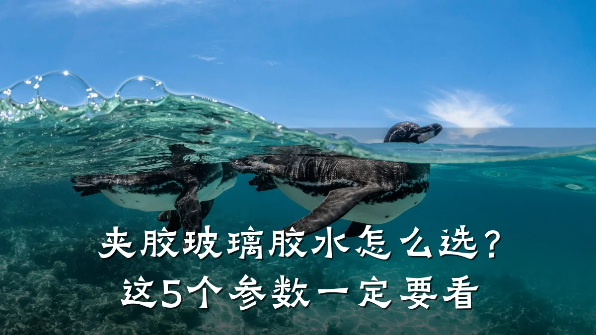 夹胶玻璃胶水怎么选？这5个参数一定要看
