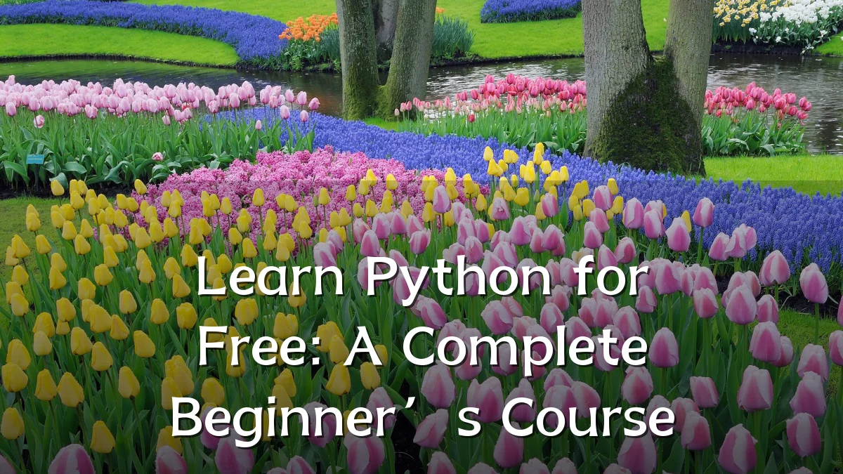 Learn Python for Free: A Complete Beginner’s Course