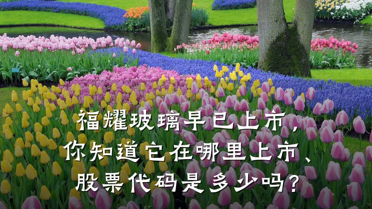 福耀玻璃早已上市,你知道它在哪里上市、股票代码是多少吗?