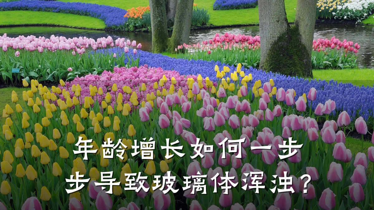 年龄增长如何一步步导致玻璃体浑浊？