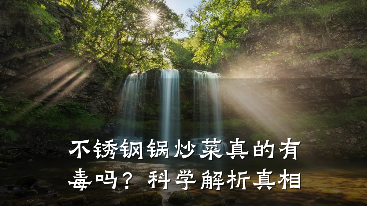 不锈钢锅炒菜真的有毒吗？科学解析真相